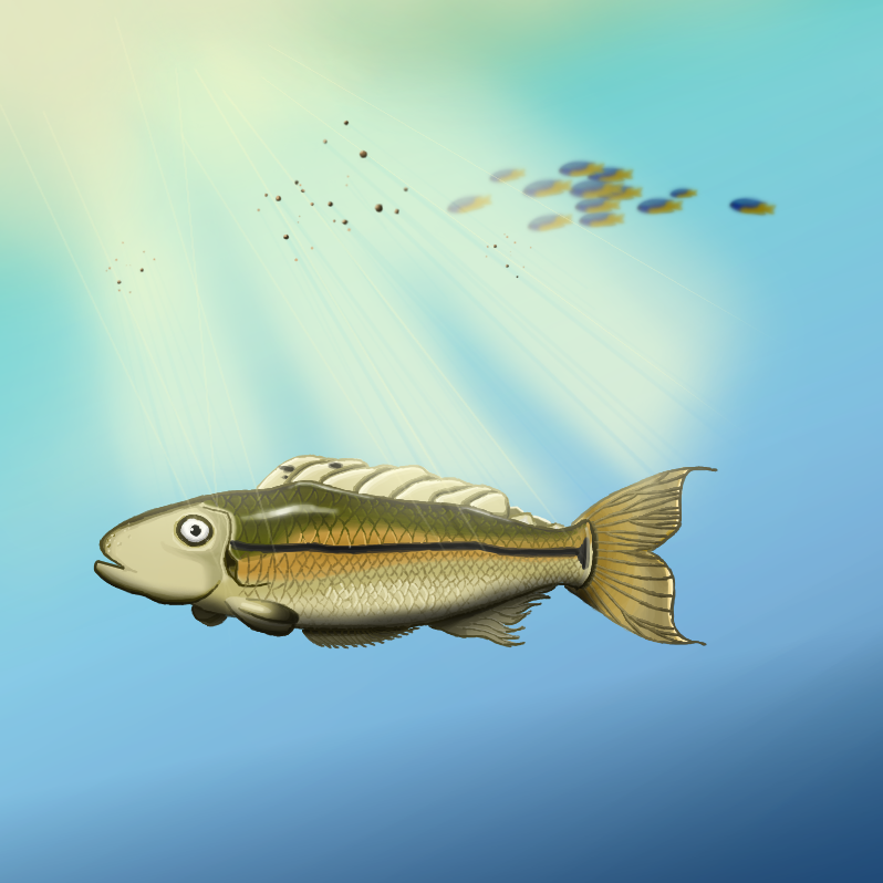 Pocket Fish app icon
